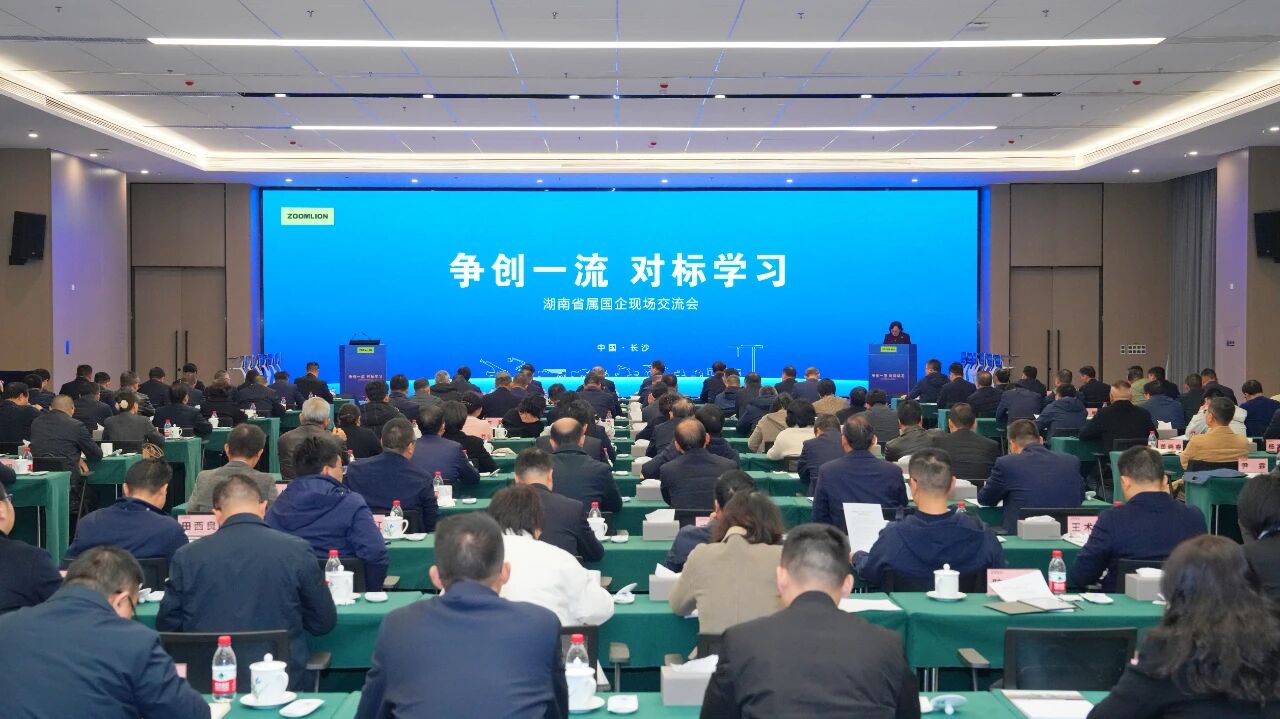 图为湖南省属国企“争创一流 对标学习”现场交流会现场（主办方供图）