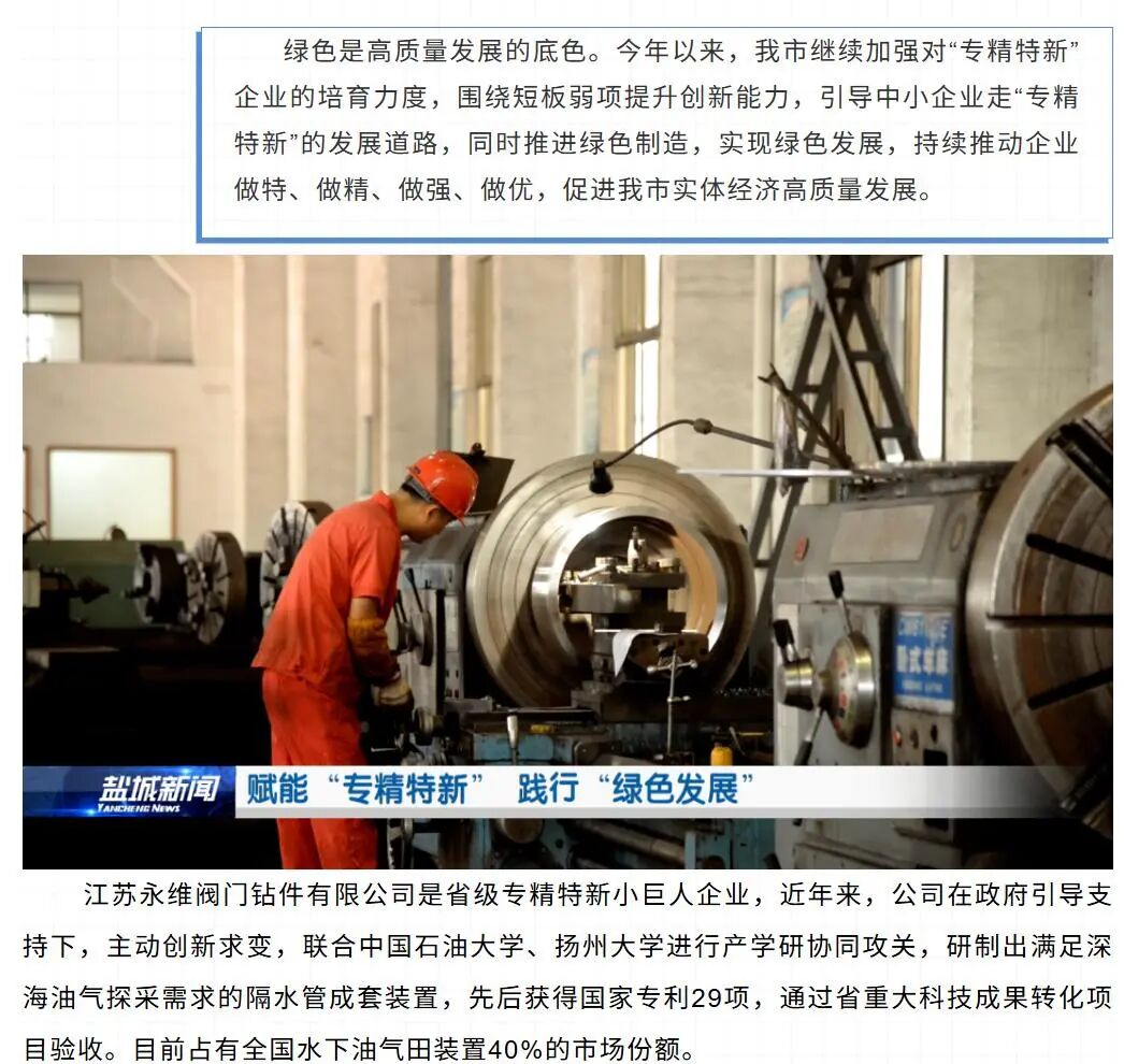 （截图源自盐城新闻公众号）