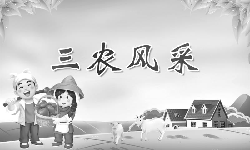 陈震：子承父业的新农民