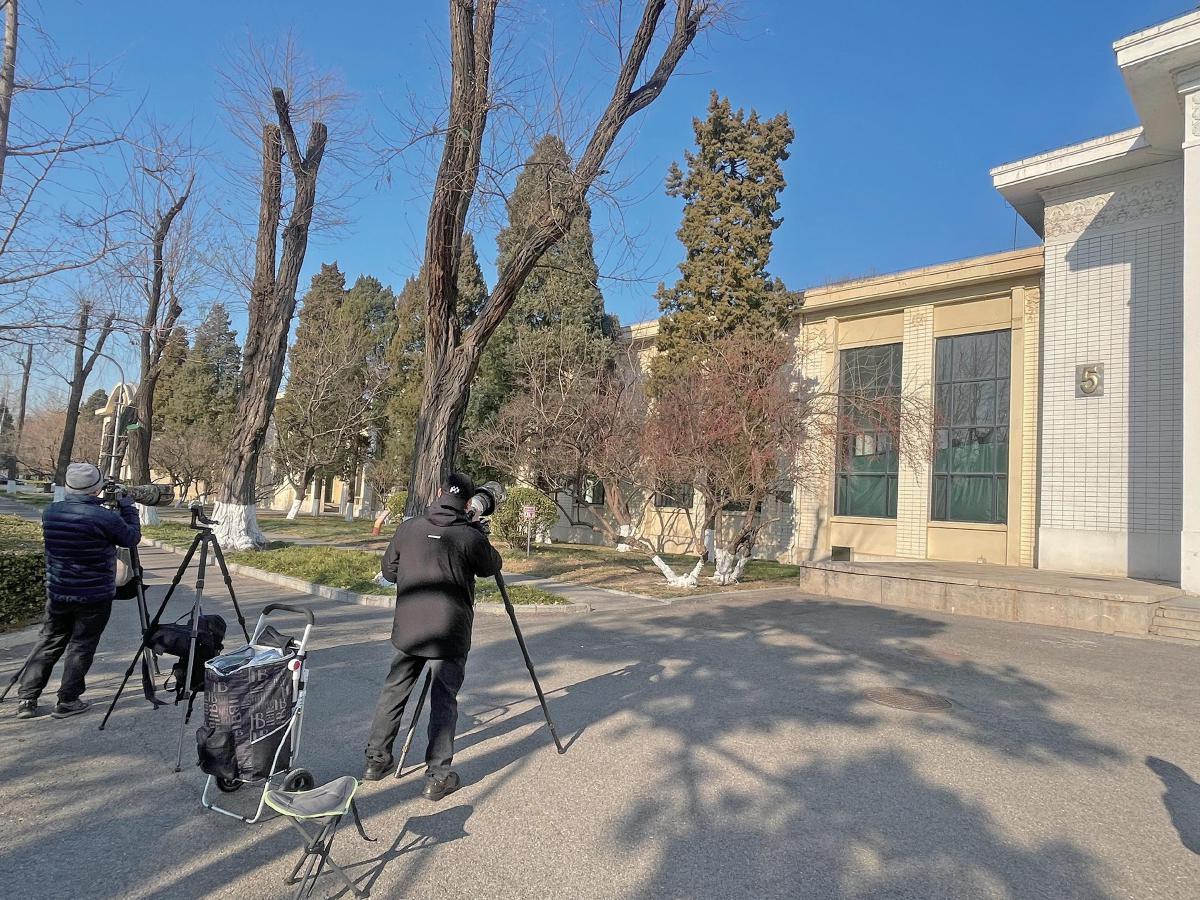 12月9日，农业展览馆涉事玻璃上拉上了绿布，几名摄影爱好者在拍鸟。新京报记者　吴婷婷　摄