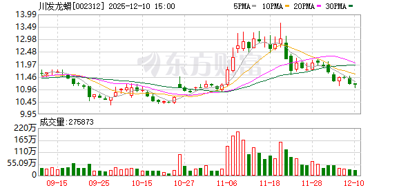 川发龙蟒:公司未来的资本开支将继续紧密围绕“稀缺资源+核心技术+产业整合+先进机制”发展战略开展