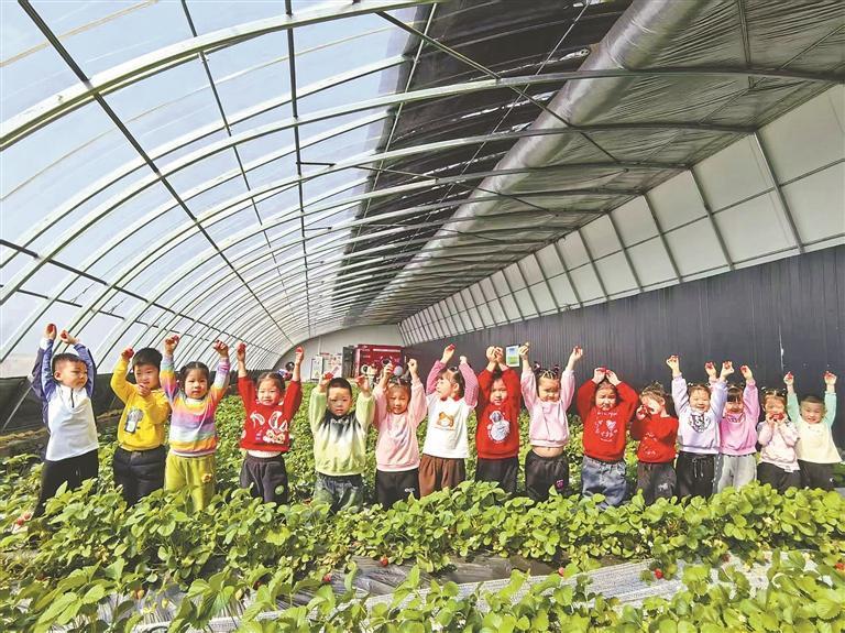 小朋友在阿城农场采摘草莓。唐艳摄