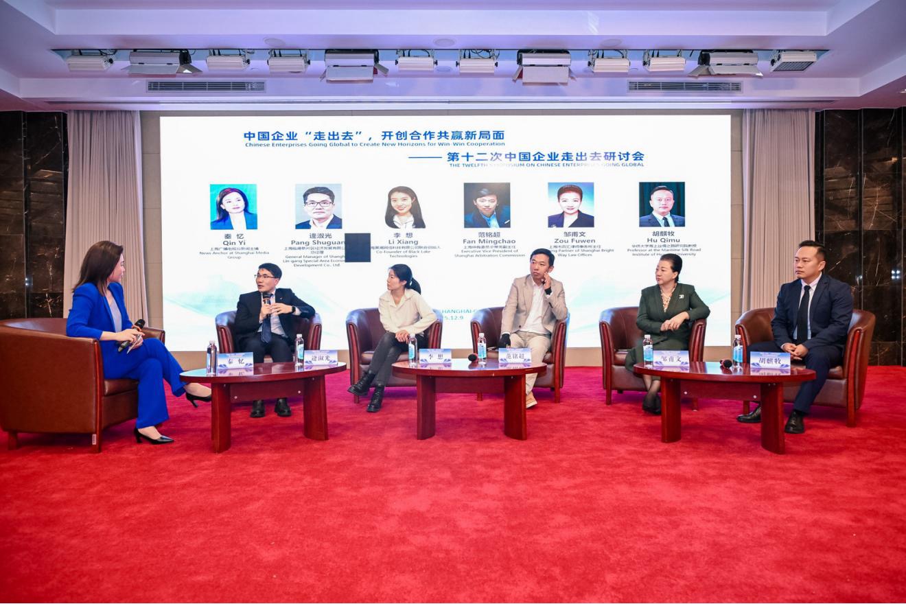 图为:第十二次中国企业走出去研讨会活动现场