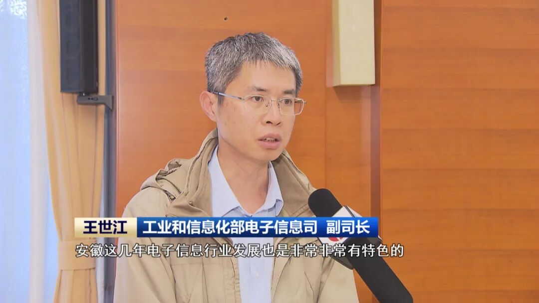 工业和信息化部电子信息司副司长王世江