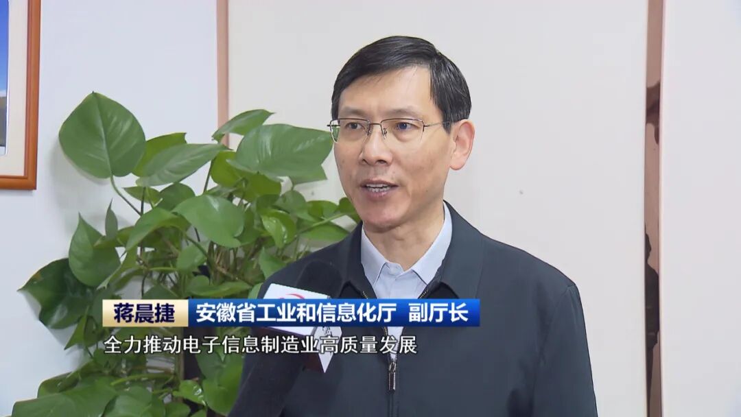 安徽省工业和信息化厅副厅长蒋晨捷