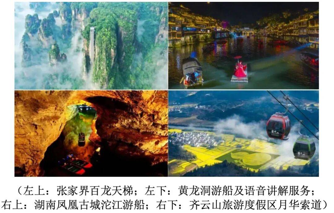 ▲图片来自祥源文旅半年报。