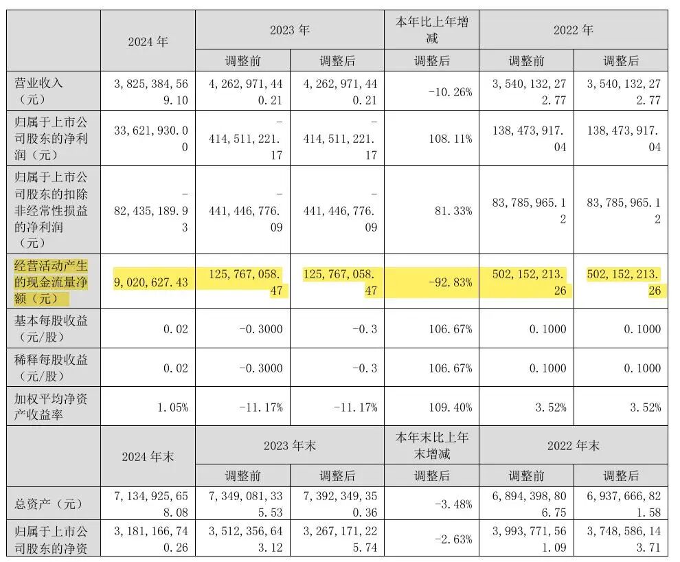 (主要财务数据截图:贵州百灵2024年度报告)