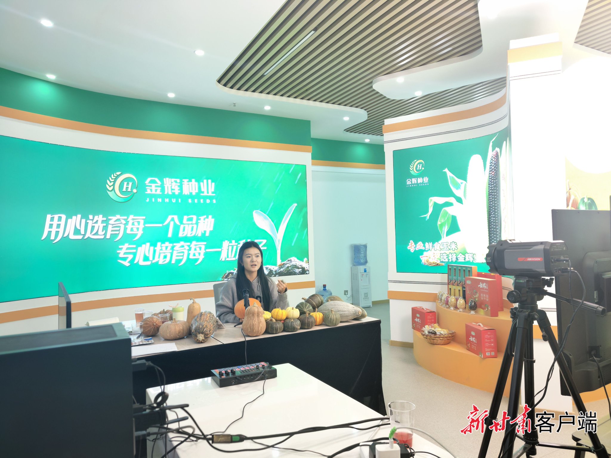 　　主播张燕正在直播推介南瓜种子。图片和视频均由新甘肃·甘肃日报记者 冯宝强摄