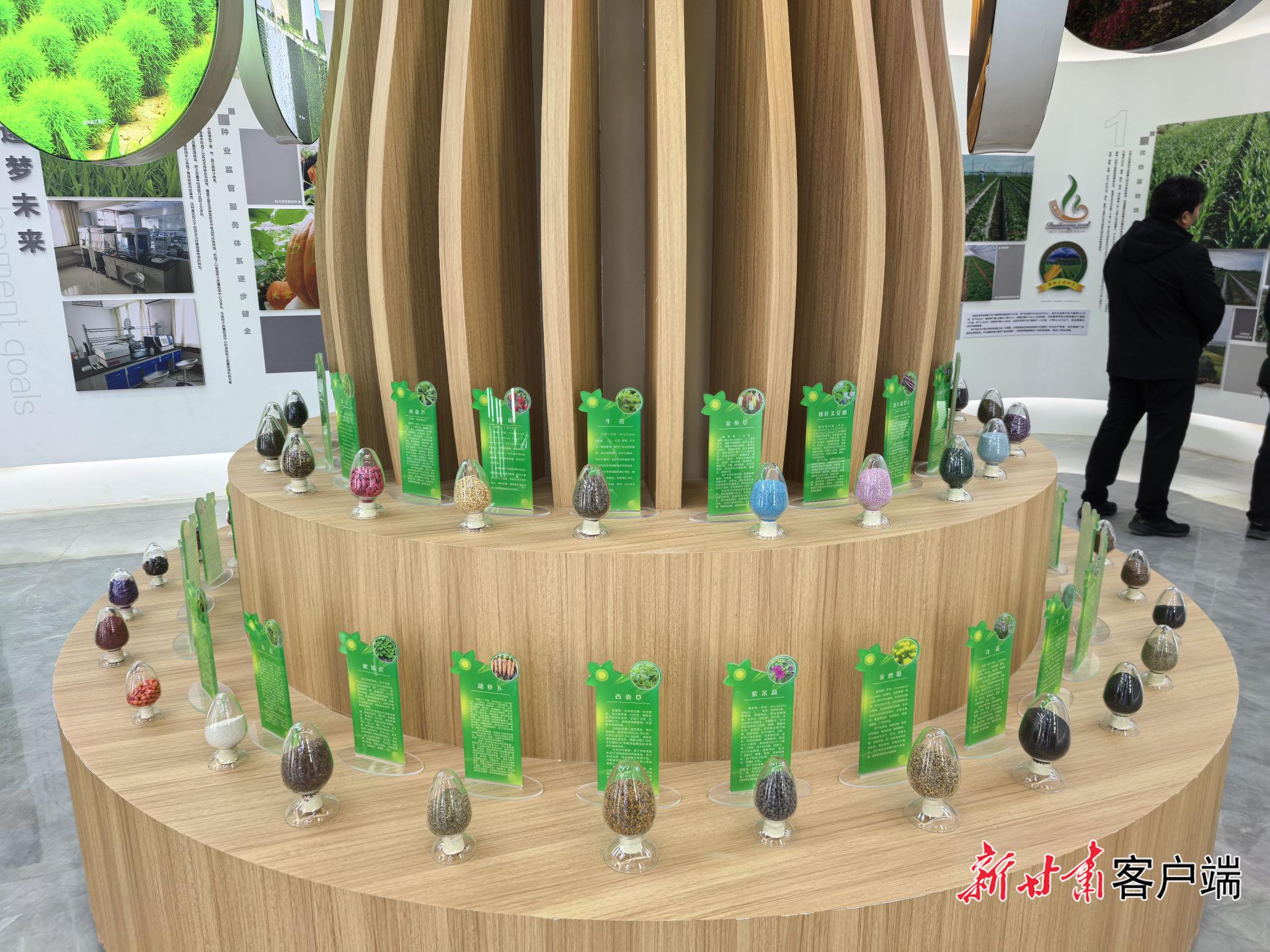 　　种子展区。
