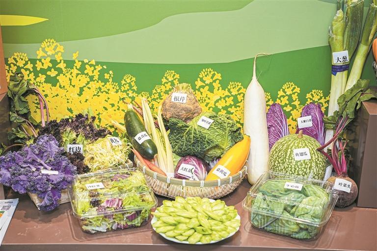 青海冷凉蔬菜直达省外餐桌。 省商务厅供图