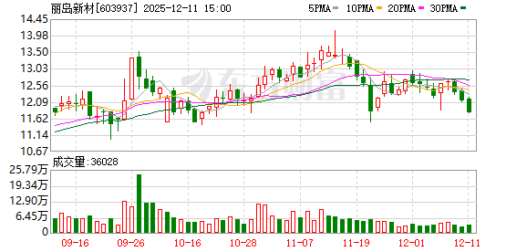 丽岛新材:截至2025年12月10日公司股东人数为13831户