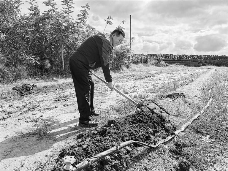 正宁县榆林子镇下沟村大力推广蚯蚓养殖。新甘肃·甘肃日报记者 安志鹏
