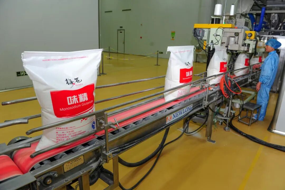 梅花味精生产线。张启民 摄