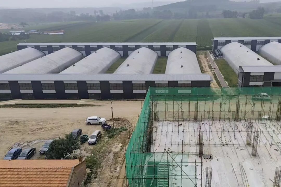 内蒙古中晟智储产业园厂房。高亚新 摄