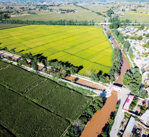 图为大禹节水建设的宁夏吴忠现代化生态灌溉区项目