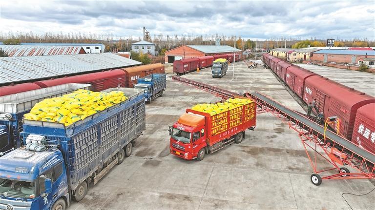 宝泉岭分公司把肥料运抵指定仓库。范明海摄