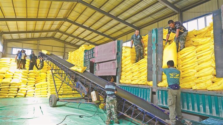 庆丰分公司提前储肥。吴佳蔓摄