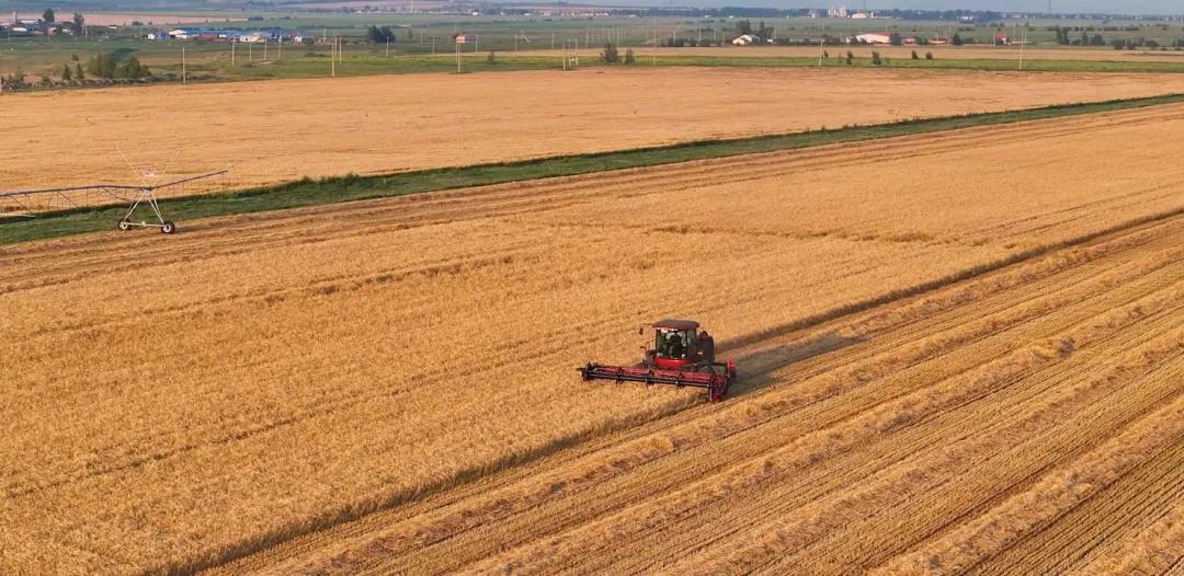 从一粒麦到一杯酒，华润啤酒“国麦振兴”破解ESG三重考题