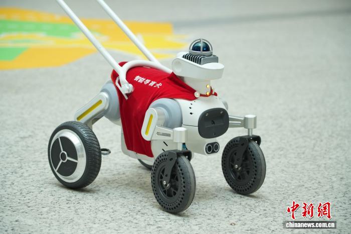 智能導盲犬「小蒜」。彭程 攝