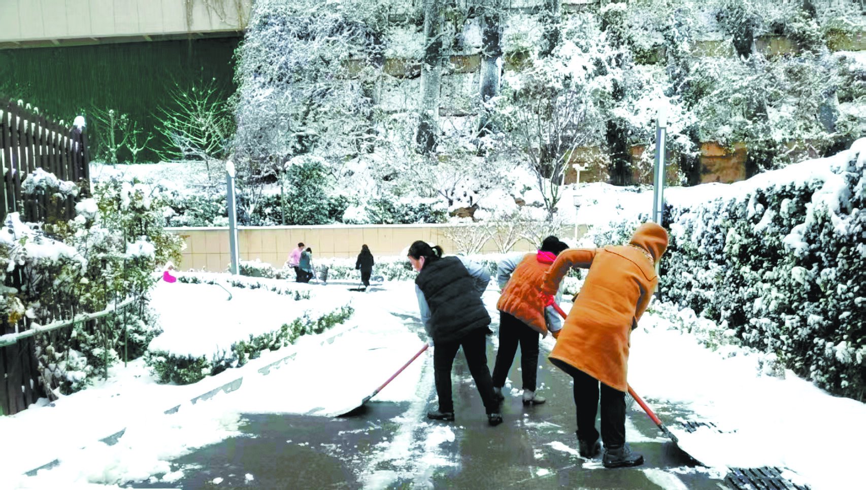 日照银行济南分行员工清扫积雪。徐笑/摄