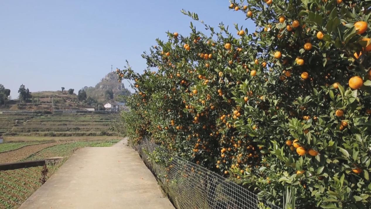 　　来源：遵义台 红花岗融媒 顾玥玥