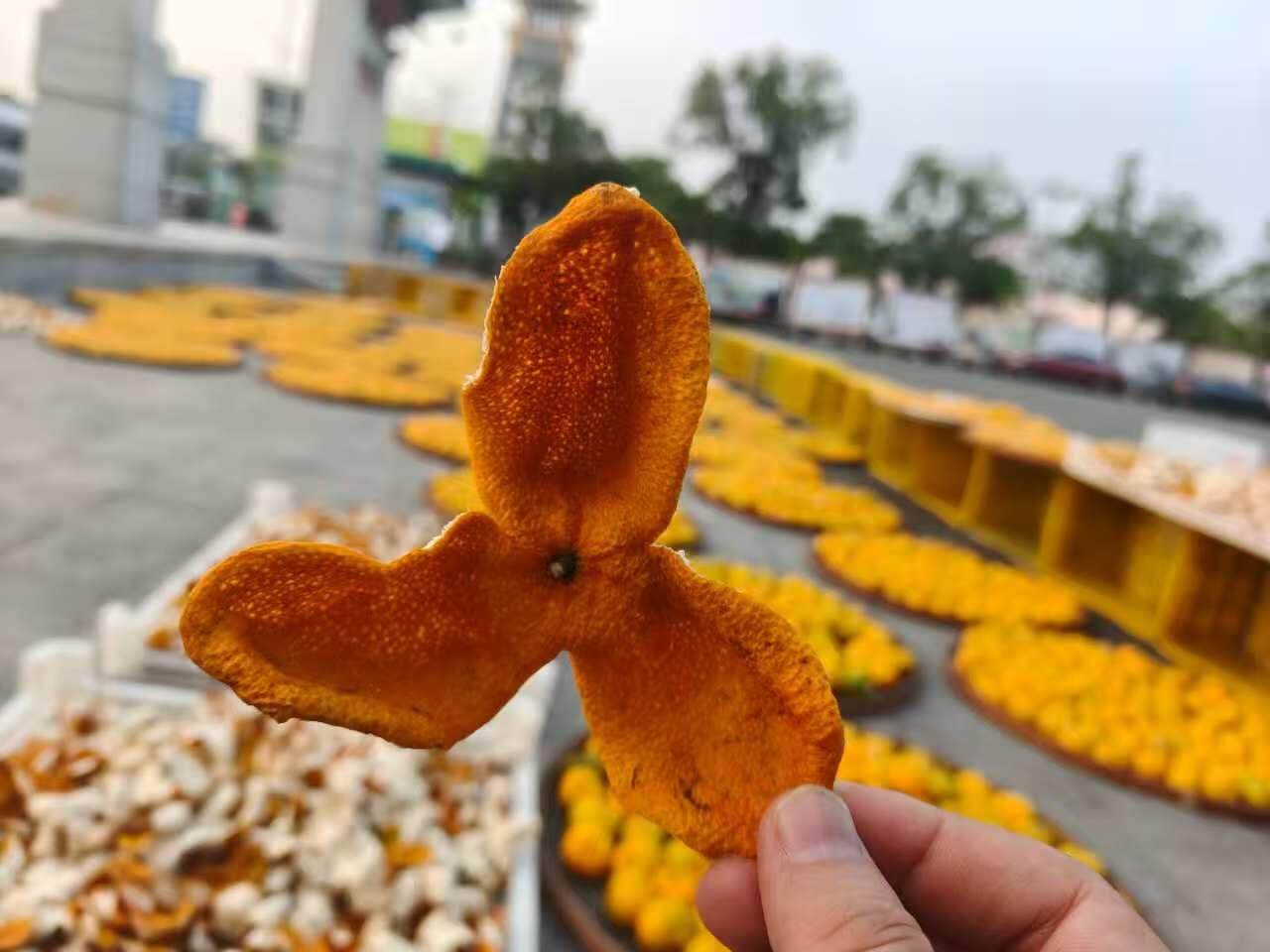 央视曝光陈皮造假黑幕！新会茶枝柑种植户发声，两地执法连夜亮剑｜鱼眼·热点