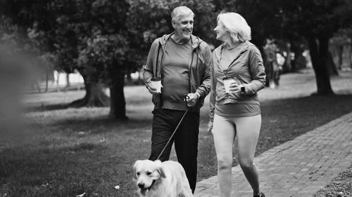 图片来源:Shutterstock