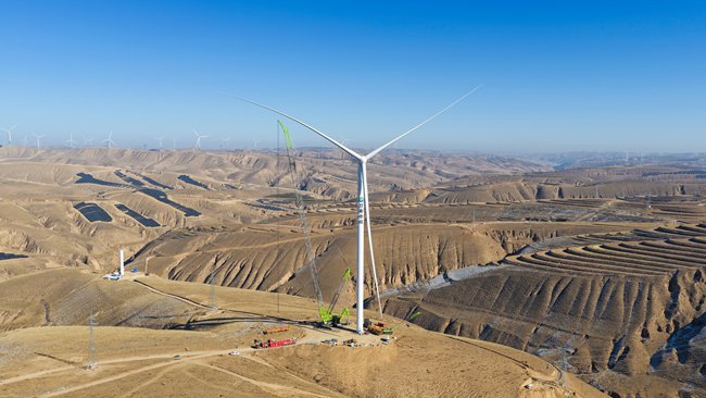 责任编辑：李靓