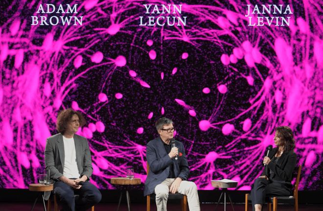 大模型真懂你吗？杨立昆最新论辩：它连猫的智能都还不如