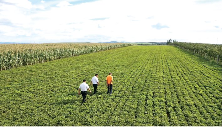 打通乡村金融服务“最后一公里”