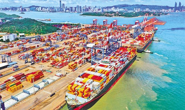 图为集装箱林立的厦门海沧港区。陈新新摄（中经视觉）