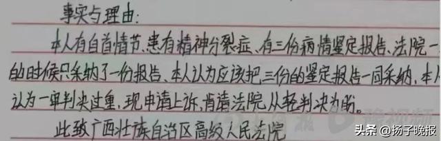 何某某手写的上诉要求轻判的申请（受访者供图）