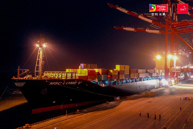 2025年首艘智利“车厘子快线”抵达广州南沙港。受访者供图