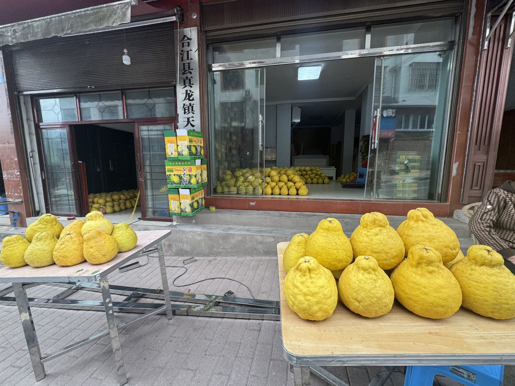 真龙镇上随处可见的真龙柚售卖点。