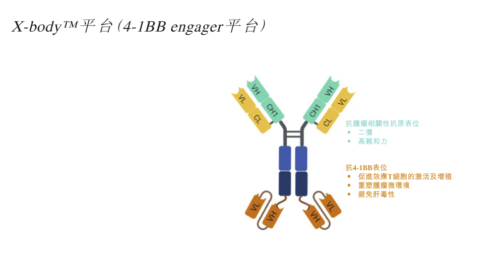 图：LBL-024结构图，来源：招股书