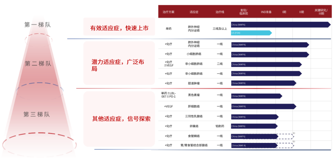 图：LBL-024临床计划，来源：公司公告