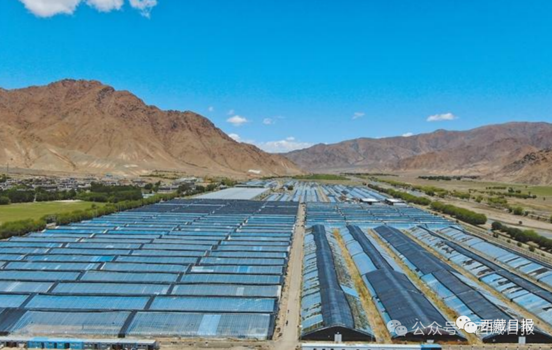 图为日喀则市白朗县巴扎乡彭仓村的大棚。（资料图）