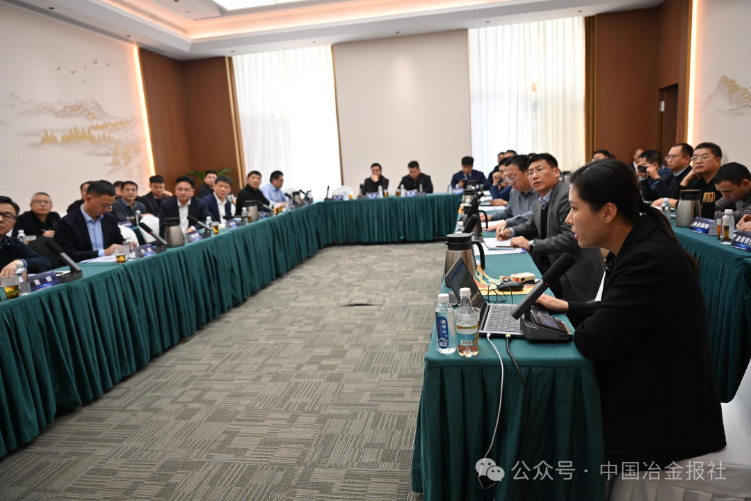 图为座谈会交流现场