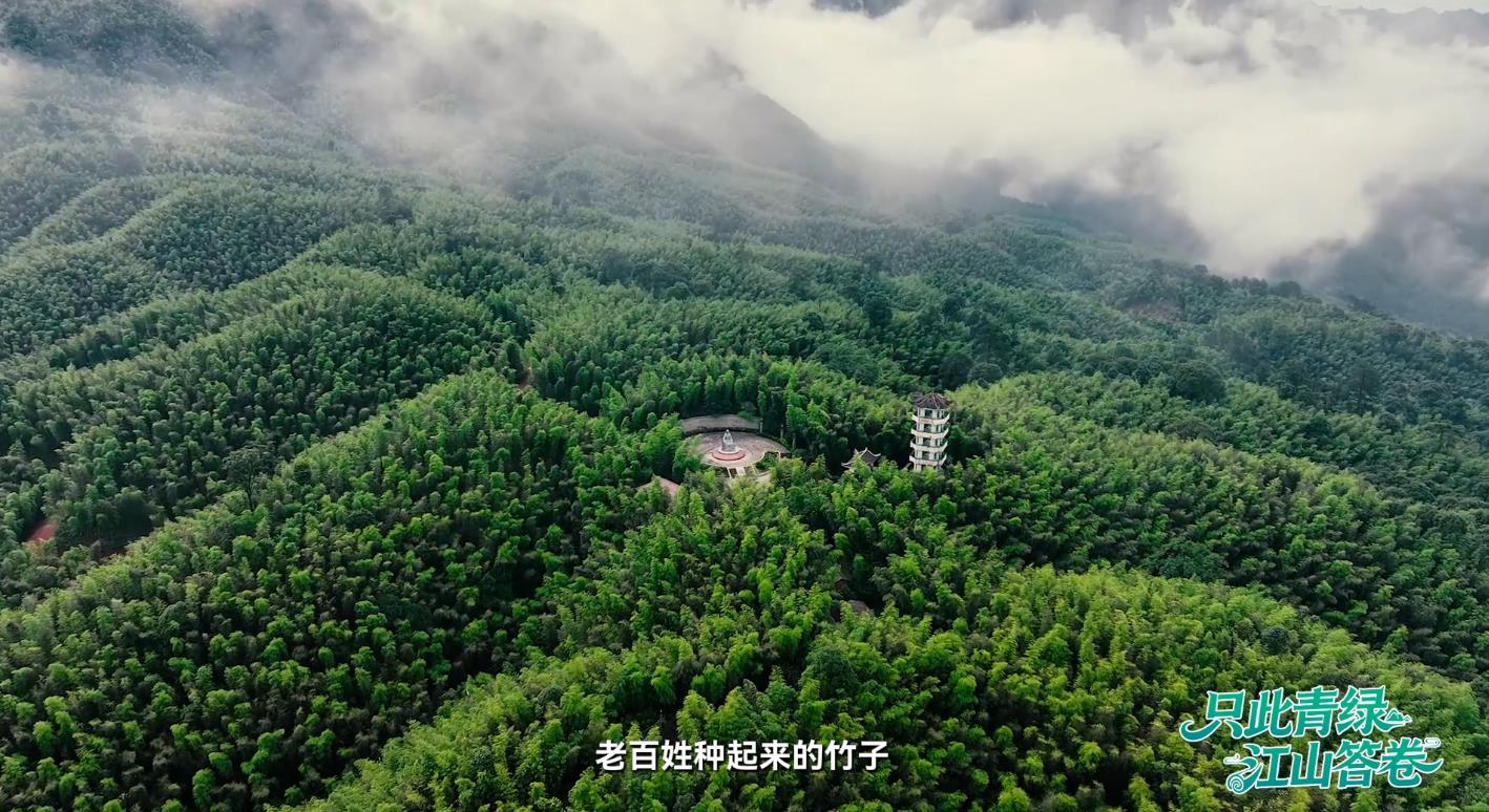 贵州省赤水竹海国家森林公园景色