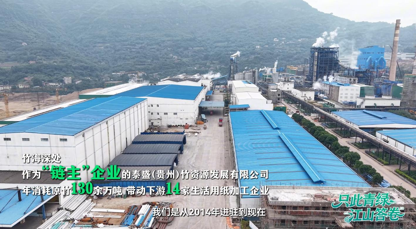 泰盛(贵州)竹资源发展有限公司生产厂区