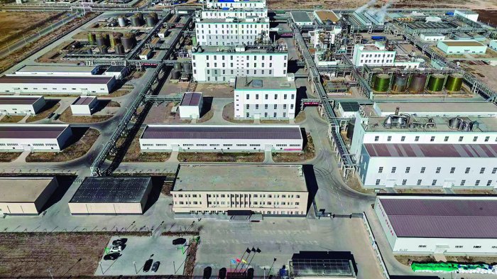 “落地见效才算站稳脚跟” 锦鸡股份打造第二增长曲线