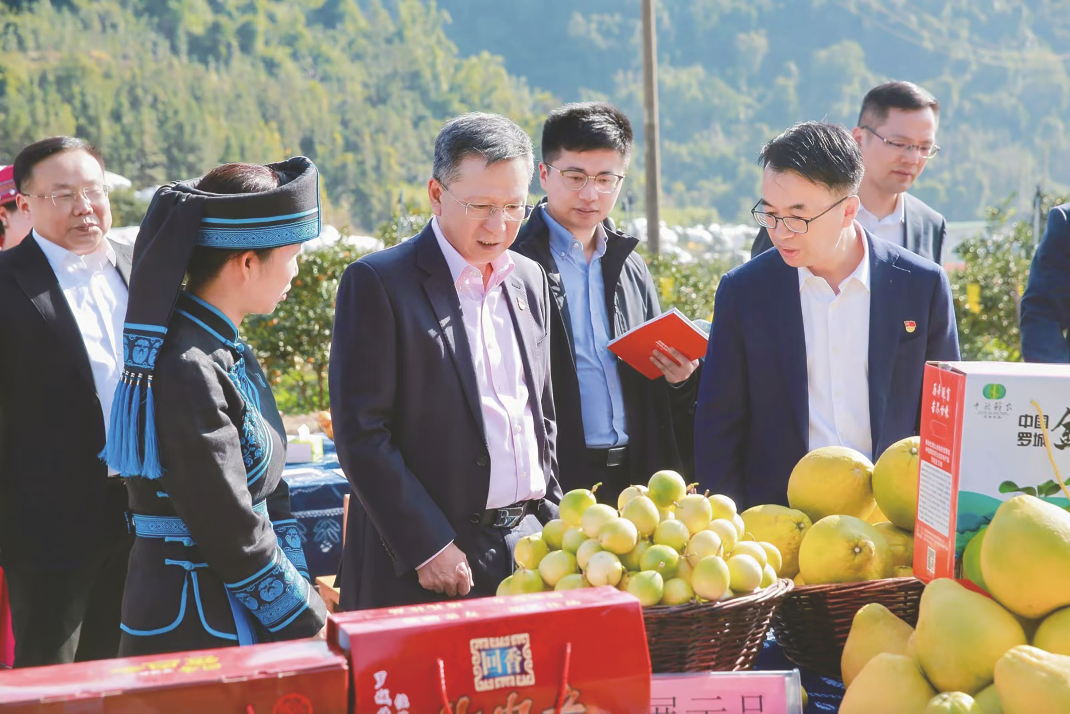     中国平安助力广西乡村振兴调研团在罗城中欧鲜农数字电商产业园脆蜜金橘种植基地调研。