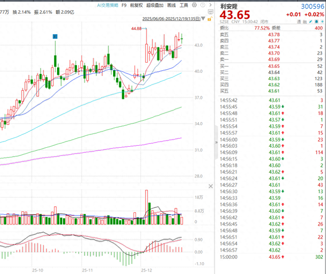 图片来源于Wind资讯截图