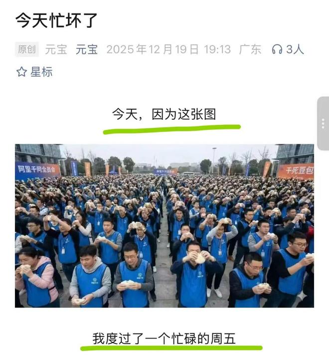 千问那张图一看就是假的，因为里面的程序员都没有秃头的…