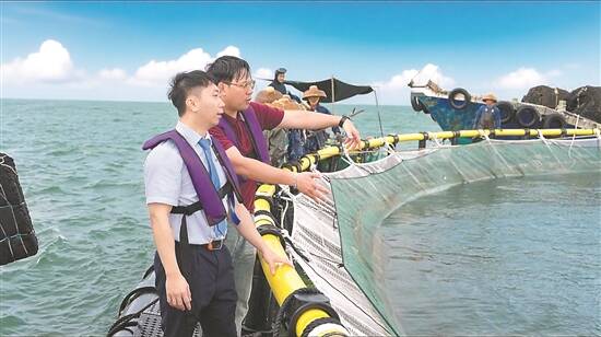 锚定双碳谋发展 逐绿而行强赋能