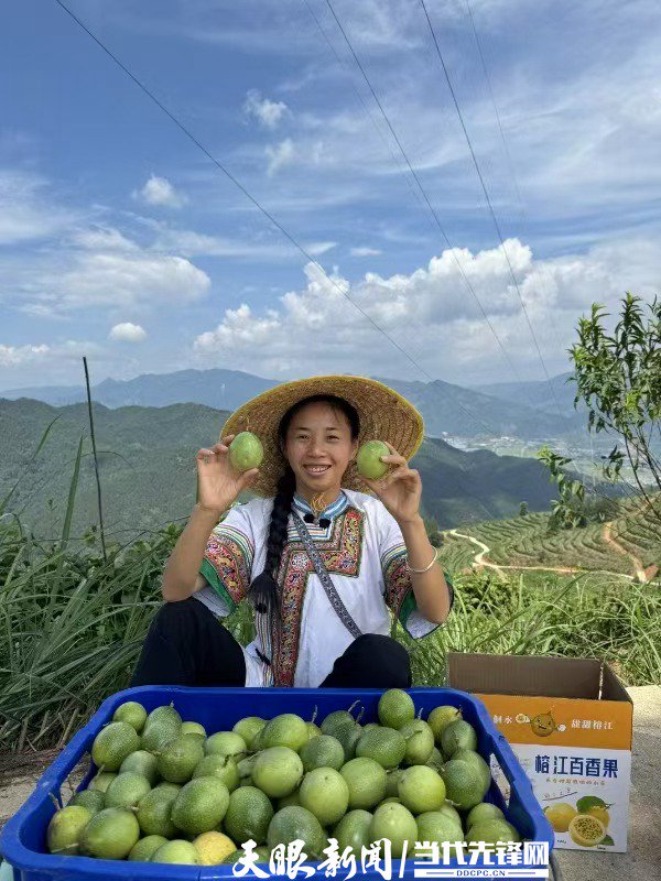 熊竹青正在通过直播向网友展示本地百香果。受访者供图