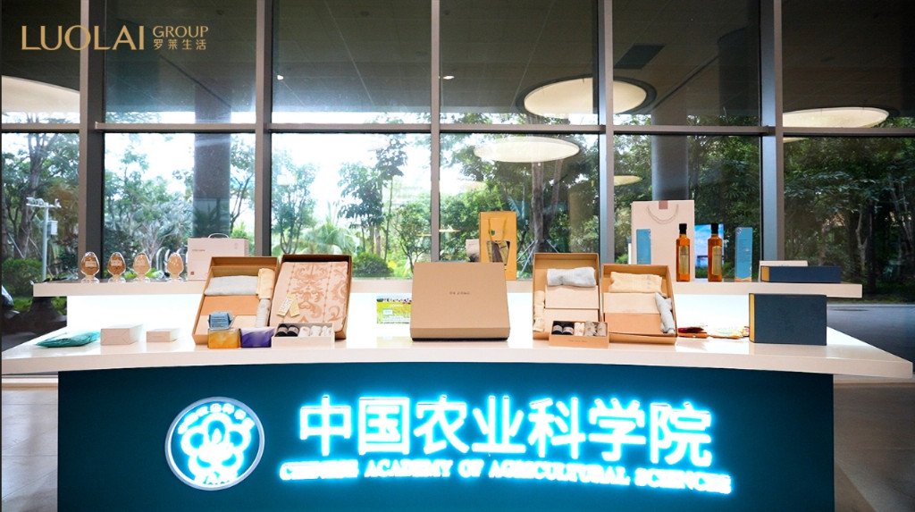 ���۹�ʶ��뢻�δ��