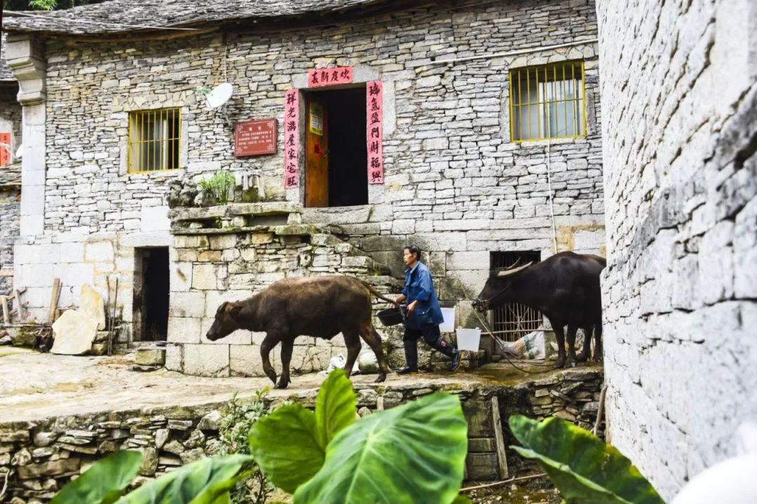 图源：安顺文化旅游