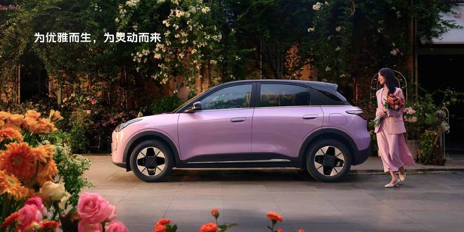 油电共存、小车称王、比亚迪退守，2025 卖得最好的 20 辆车，和你想的不一样