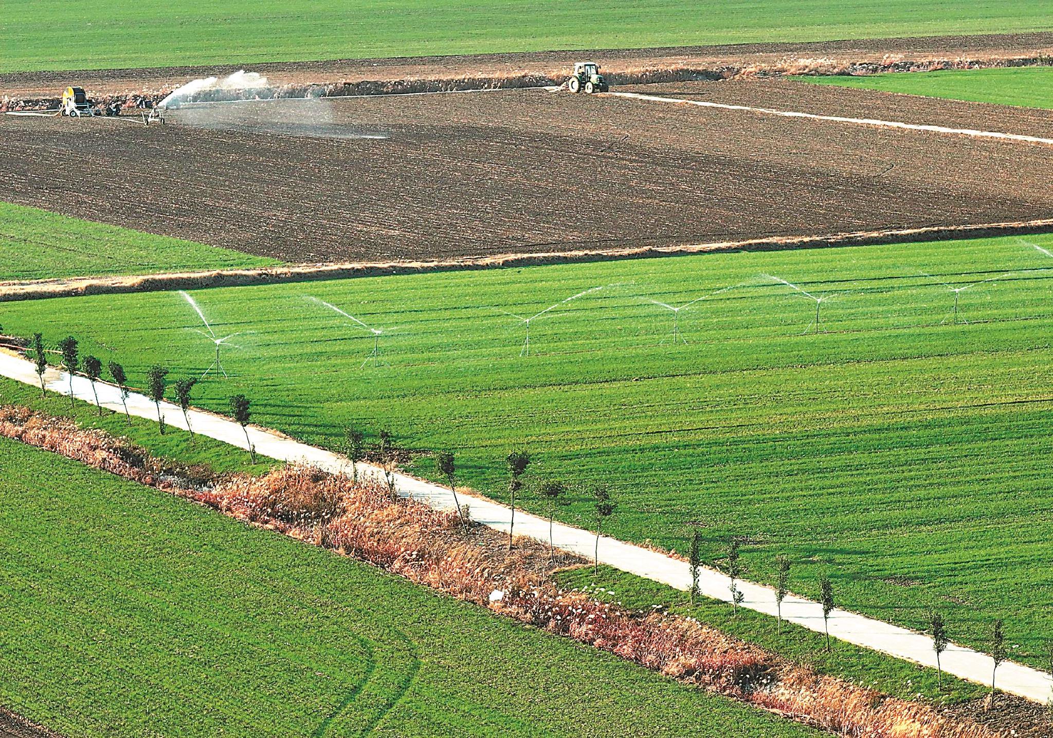 谋“粮”策 筑丰仓